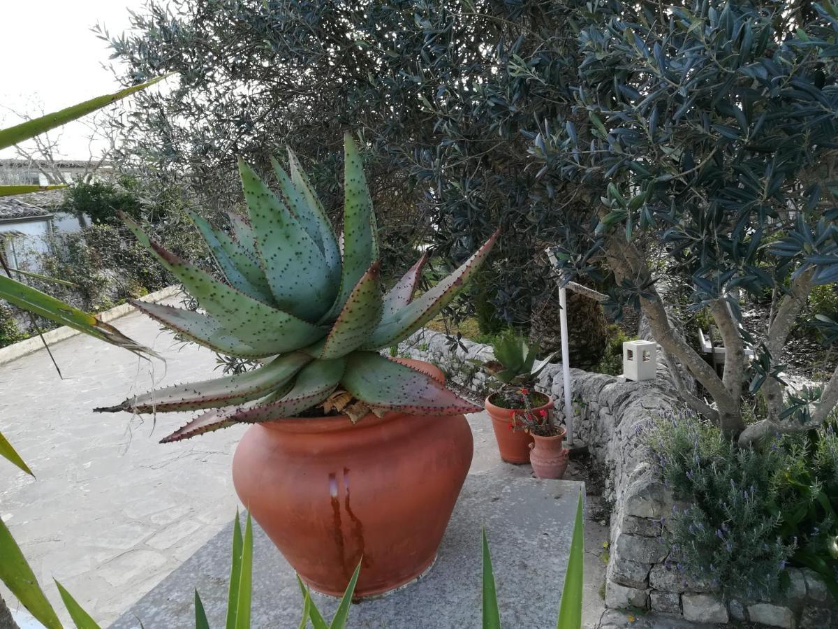 Casa Degli Avi Don Neli, Immersa Nella Natura Модика Экстерьер фото