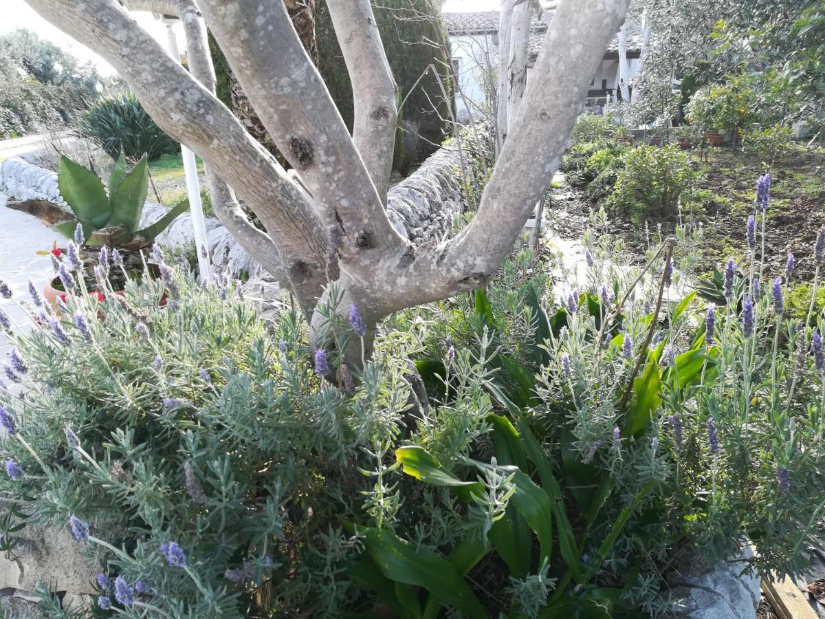 Casa Degli Avi Don Neli, Immersa Nella Natura Модика Экстерьер фото
